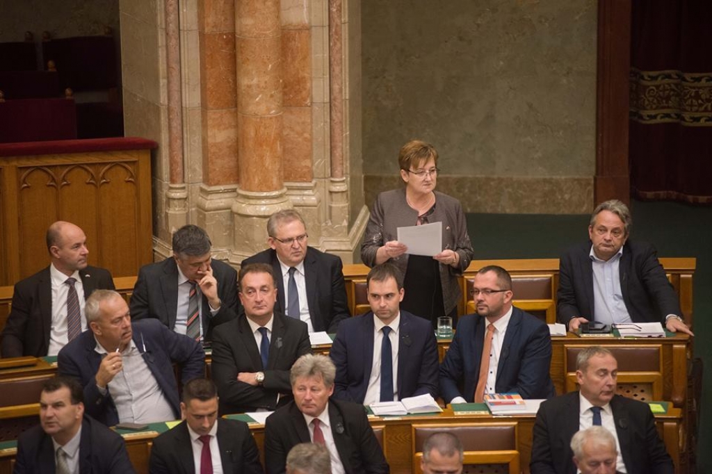 Plenáris ülésen